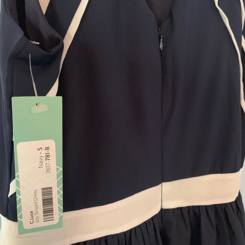 Stitch Fix C. Luce Izzy Striped Dress NWT - Picture 6 of 7